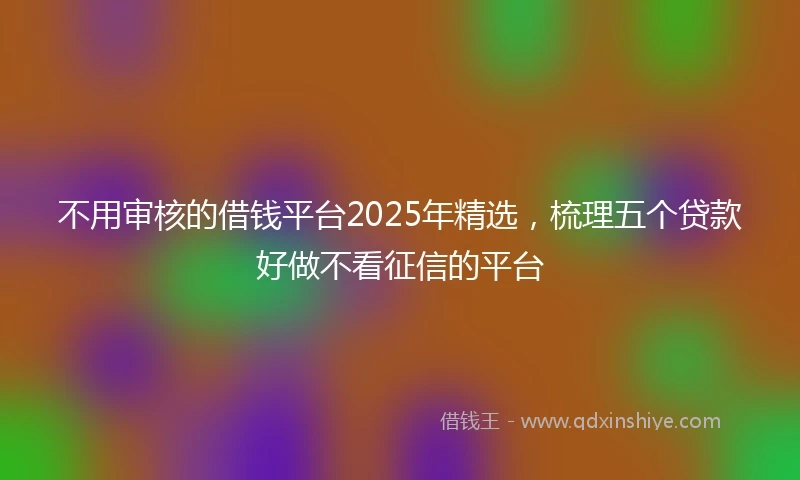 不用审核的借钱平台2025年精选，梳理五个贷款好做不看征信的平台
