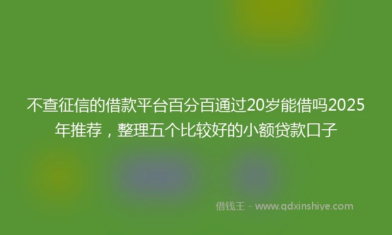 不查征信的借款平台百分百通过20岁能借吗2025年推荐，整理五个比较好的小额贷款口子