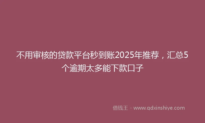 不用审核的贷款平台秒到账2025年推荐，汇总5个逾期太多能下款口子