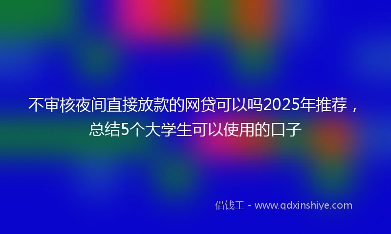 不审核夜间直接放款的网贷可以吗2025年推荐，总结5个大学生可以使用的口子