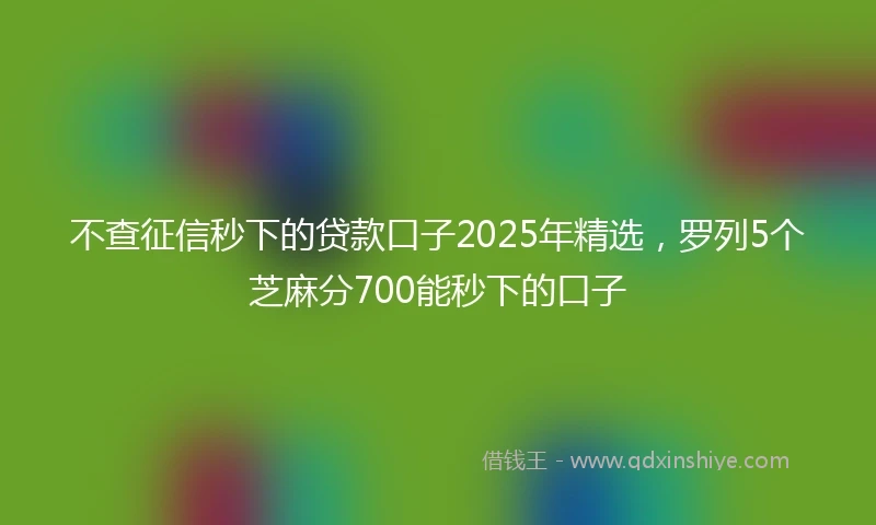不查征信秒下的贷款口子2025年精选，罗列5个芝麻分700能秒下的口子