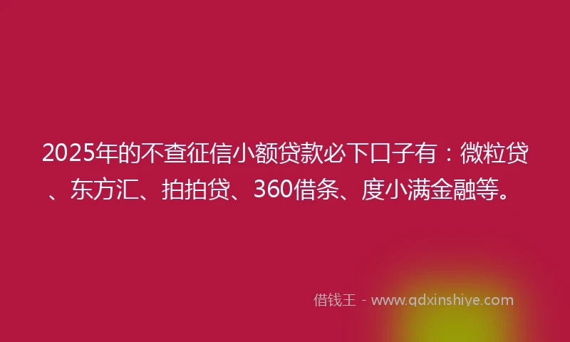 2025年的不查征信小额贷款必下口子有：微粒贷、东方汇、拍拍贷、360借条、度小满金融等。