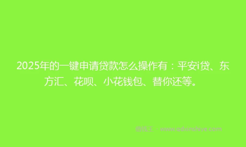 2025年的一键申请贷款怎么操作有：平安i贷、东方汇、花呗、小花钱包、替你还等。