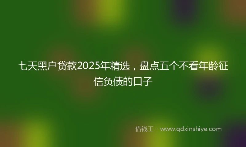 七天黑户贷款2025年精选，盘点五个不看年龄征信负债的口子