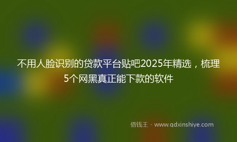 不用人脸识别的贷款平台贴吧2025年精选，梳理5个网黑真正能下款的软件