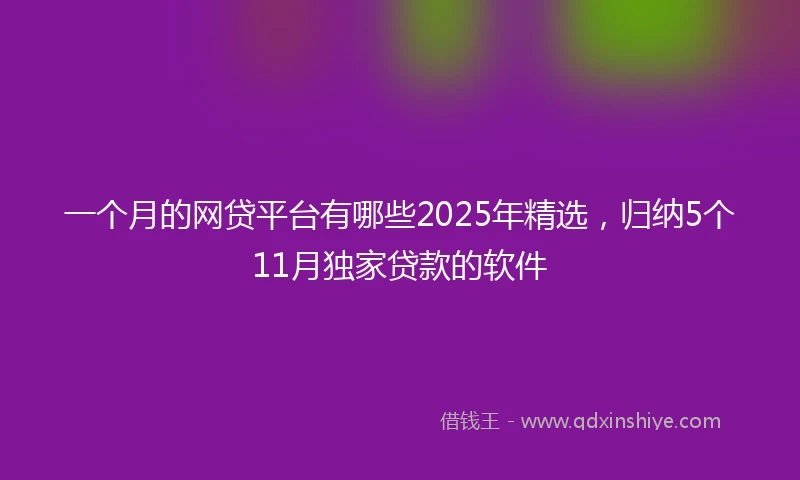 一个月的网贷平台有哪些2025年精选，归纳5个11月独家贷款的软件