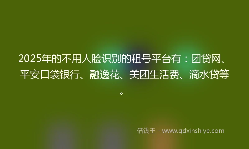 2025年的不用人脸识别的租号平台有：团贷网、平安口袋银行、融逸花、美团生活费、滴水贷等。