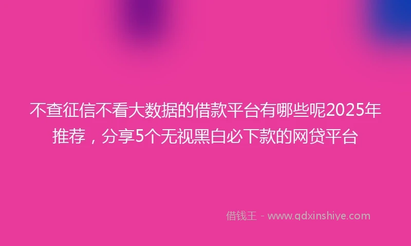 不查征信不看大数据的借款平台有哪些呢2025年推荐，分享5个无视黑白必下款的网贷平台