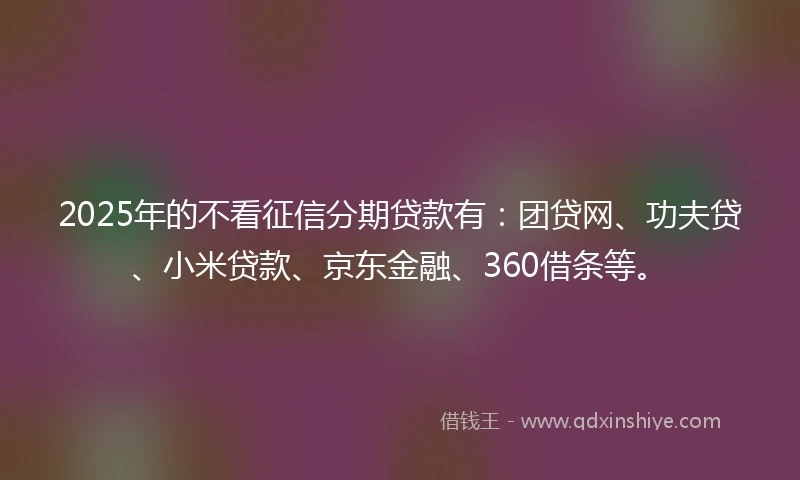 2025年的不看征信分期贷款有：团贷网、功夫贷、小米贷款、京东金融、360借条等。