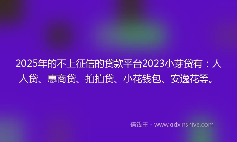 2025年的不上征信的贷款平台2023小芽贷有：人人贷、惠商贷、拍拍贷、小花钱包、安逸花等。