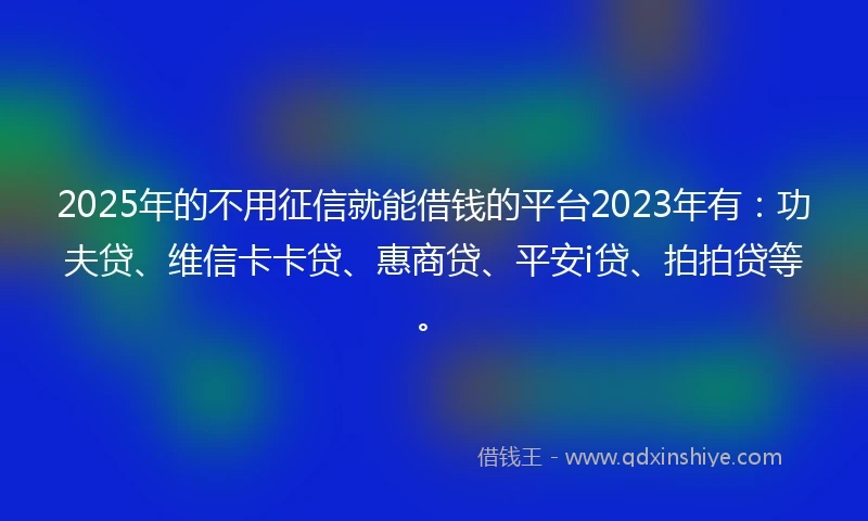 2025年的不用征信就能借钱的平台2023年有：功夫贷、维信卡卡贷、惠商贷、平安i贷、拍拍贷等。