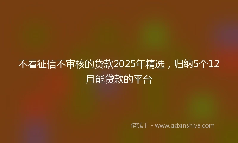 不看征信不审核的贷款2025年精选，归纳5个12月能贷款的平台