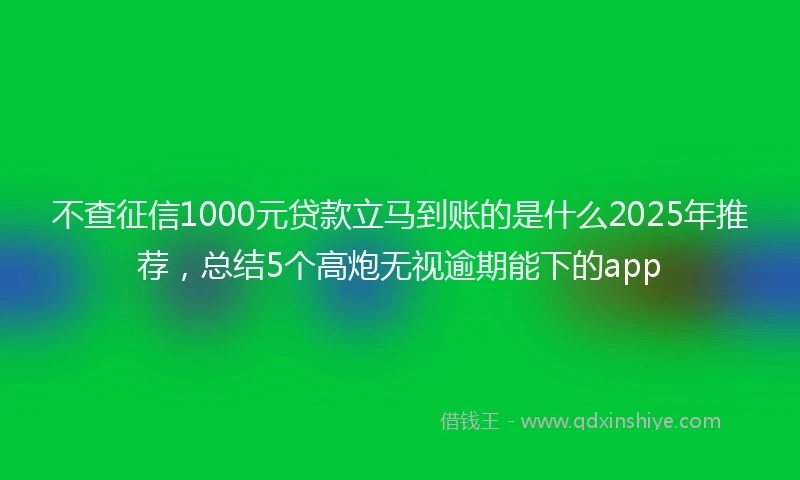 不查征信1000元贷款立马到账的是什么2025年推荐，总结5个高炮无视逾期能下的app