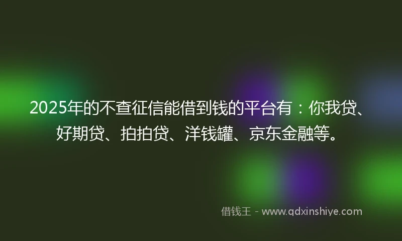 2025年的不查征信能借到钱的平台有：你我贷、好期贷、拍拍贷、洋钱罐、京东金融等。