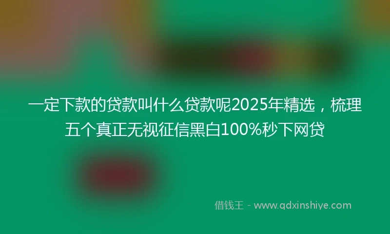 一定下款的贷款叫什么贷款呢2025年精选，梳理五个真正无视征信黑白100%秒下网贷