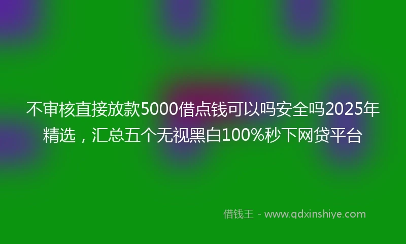 不审核直接放款5000借点钱可以吗安全吗2025年精选，汇总五个无视黑白100%秒下网贷平台