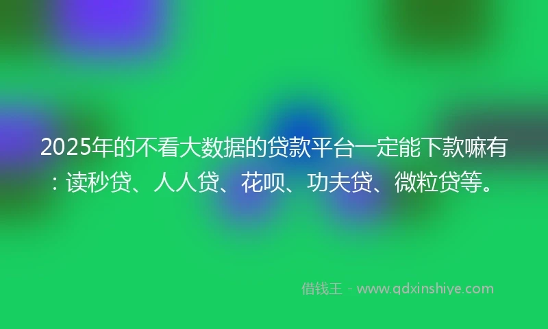 2025年的不看大数据的贷款平台一定能下款嘛有：读秒贷、人人贷、花呗、功夫贷、微粒贷等。