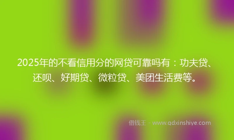 2025年的不看信用分的网贷可靠吗有：功夫贷、还呗、好期贷、微粒贷、美团生活费等。