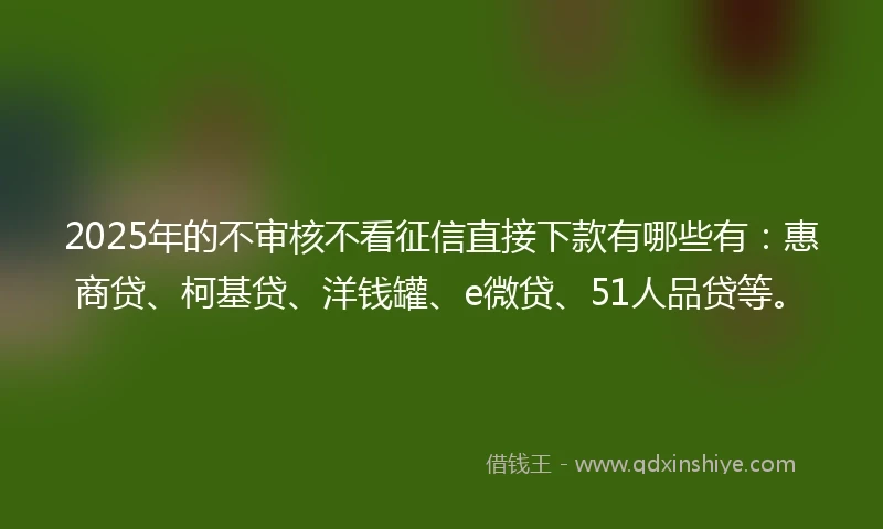 2025年的不审核不看征信直接下款有哪些有：惠商贷、柯基贷、洋钱罐、e微贷、51人品贷等。