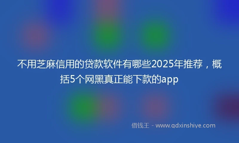 不用芝麻信用的贷款软件有哪些2025年推荐，概括5个网黑真正能下款的app