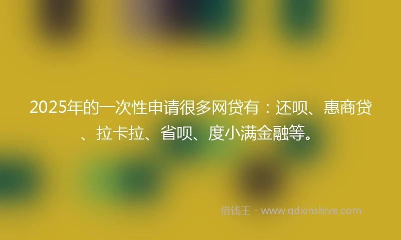 2025年的一次性申请很多网贷有：还呗、惠商贷、拉卡拉、省呗、度小满金融等。