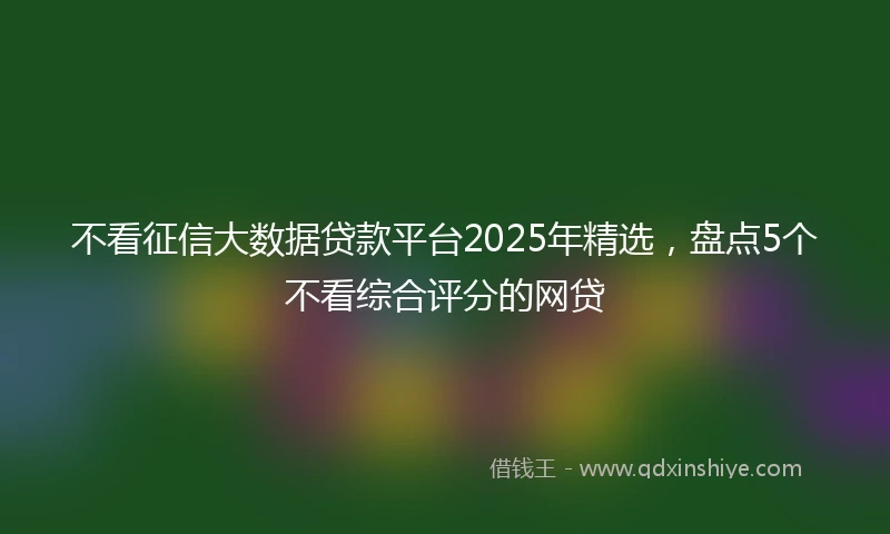 不看征信大数据贷款平台2025年精选，盘点5个不看综合评分的网贷