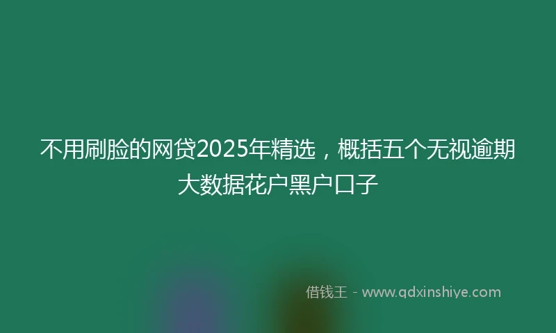 不用刷脸的网贷2025年精选，概括五个无视逾期大数据花户黑户口子