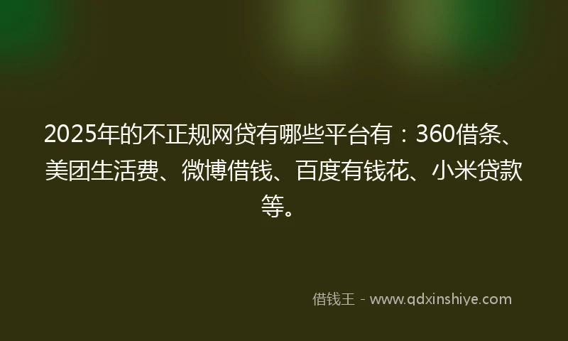 2025年的不正规网贷有哪些平台有：360借条、美团生活费、微博借钱、百度有钱花、小米贷款等。