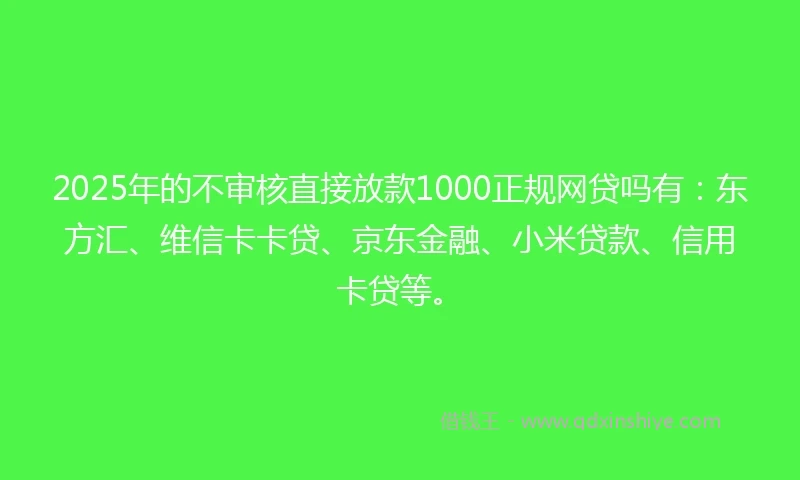 2025年的不审核直接放款1000正规网贷吗有：东方汇、维信卡卡贷、京东金融、小米贷款、信用卡贷等。