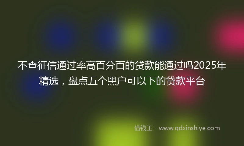 不查征信通过率高百分百的贷款能通过吗2025年精选，盘点五个黑户可以下的贷款平台