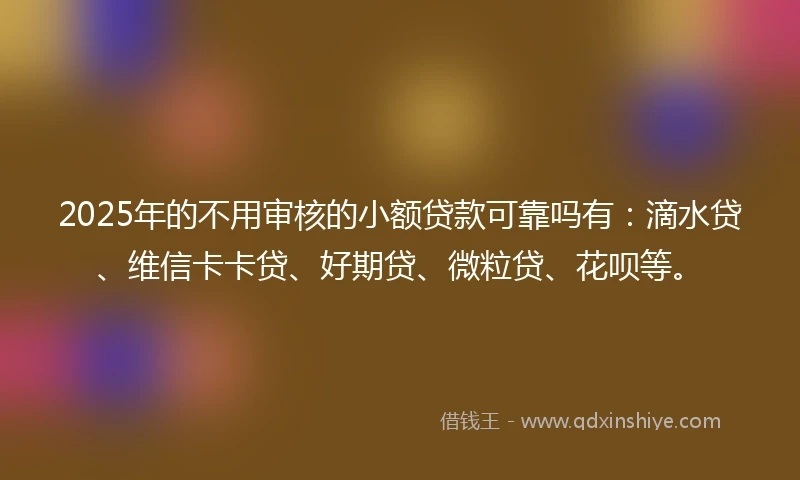 2025年的不用审核的小额贷款可靠吗有：滴水贷、维信卡卡贷、好期贷、微粒贷、花呗等。
