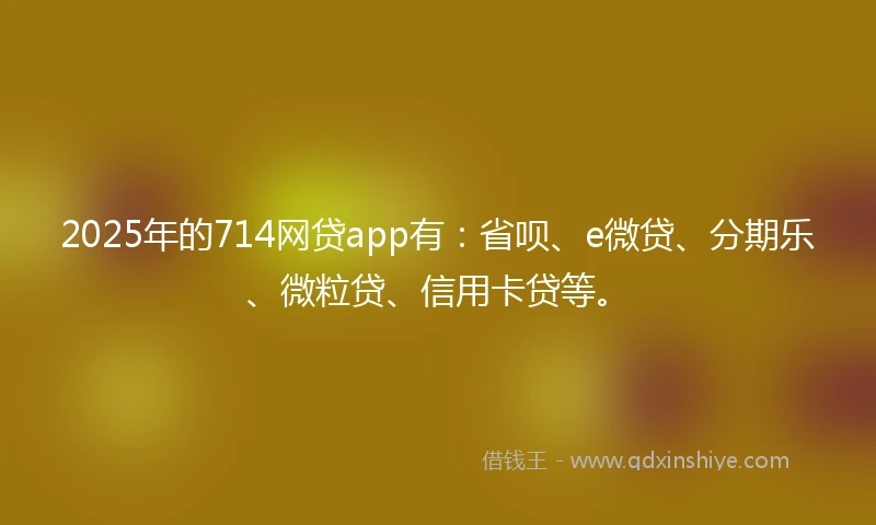 2025年的714网贷app有：省呗、e微贷、分期乐、微粒贷、信用卡贷等。