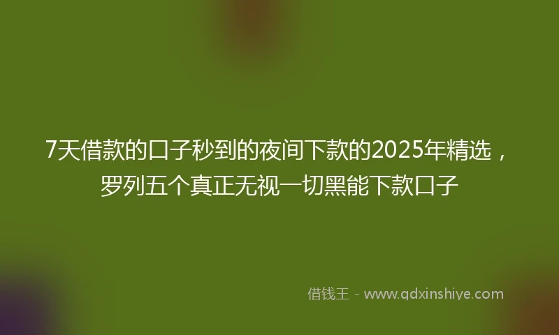 7天借款的口子秒到的夜间下款的2025年精选，罗列五个真正无视一切黑能下款口子