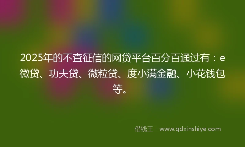 2025年的不查征信的网贷平台百分百通过有：e微贷、功夫贷、微粒贷、度小满金融、小花钱包等。