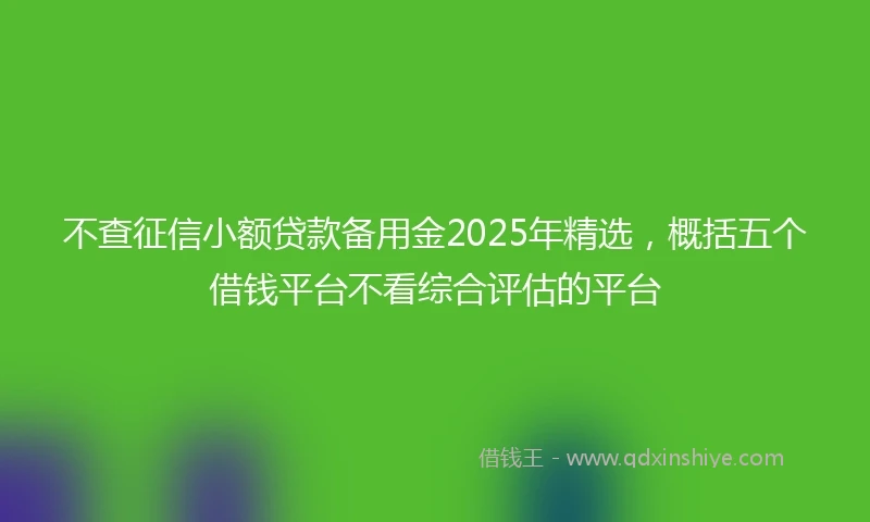 不查征信小额贷款备用金2025年精选，概括五个借钱平台不看综合评估的平台
