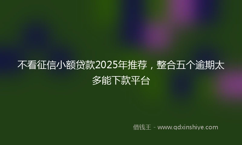 不看征信小额贷款2025年推荐，整合五个逾期太多能下款平台