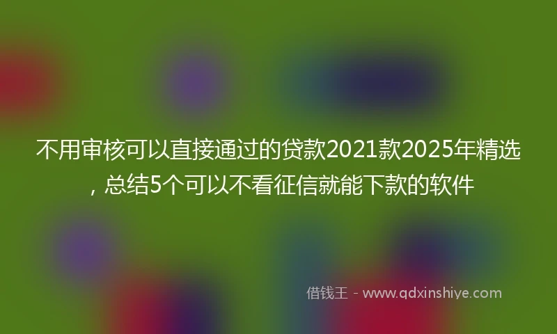 不用审核可以直接通过的贷款2021款2025年精选，总结5个可以不看征信就能下款的软件