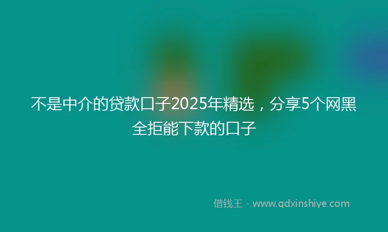 不是中介的贷款口子2025年精选，分享5个网黑全拒能下款的口子