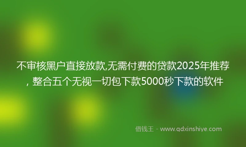 不审核黑户直接放款,无需付费的贷款2025年推荐，整合五个无视一切包下款5000秒下款的软件