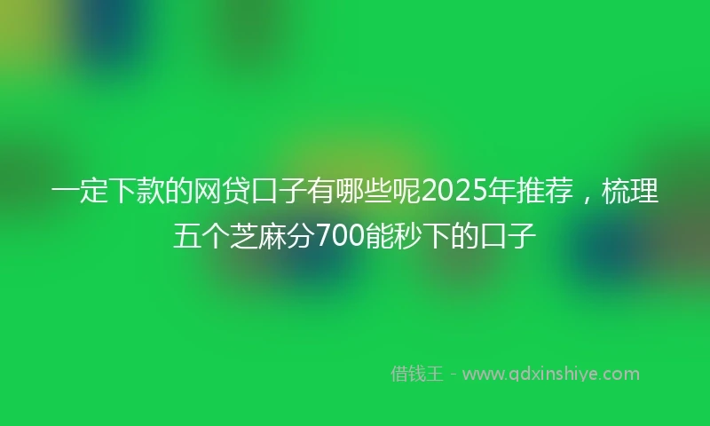 一定下款的网贷口子有哪些呢2025年推荐，梳理五个芝麻分700能秒下的口子