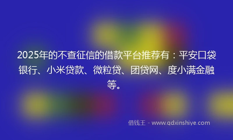 2025年的不查征信的借款平台推荐有：平安口袋银行、小米贷款、微粒贷、团贷网、度小满金融等。