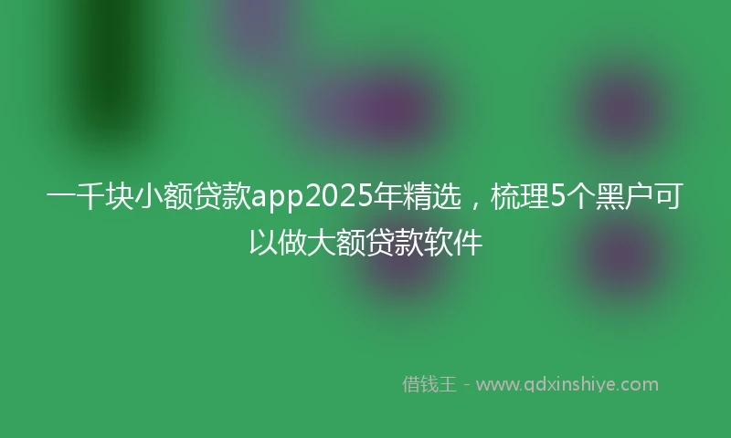 一千块小额贷款app2025年精选，梳理5个黑户可以做大额贷款软件