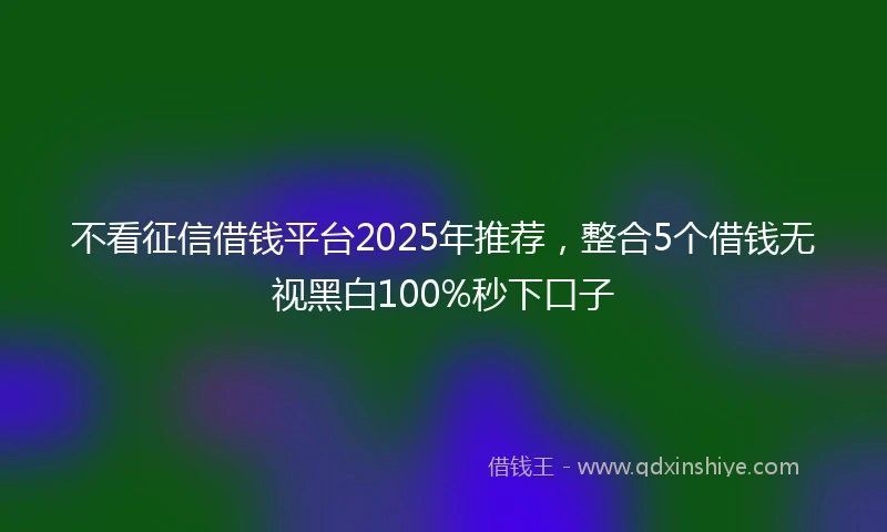 不看征信借钱平台2025年推荐，整合5个借钱无视黑白100%秒下口子