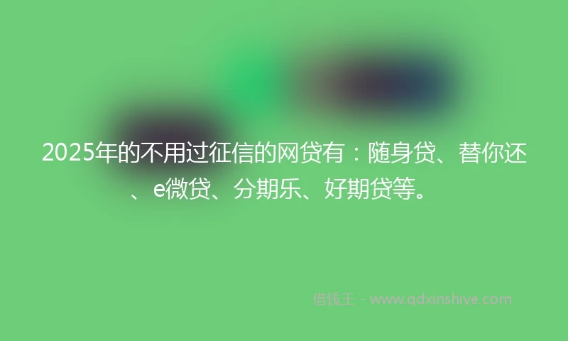 2025年的不用过征信的网贷有：随身贷、替你还、e微贷、分期乐、好期贷等。
