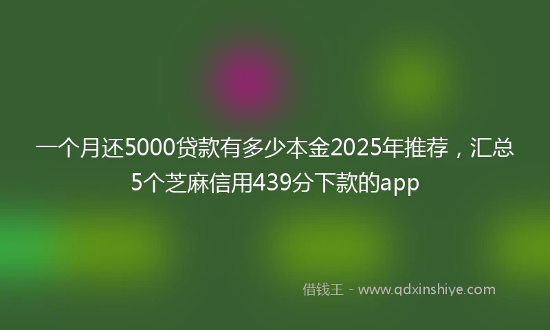 一个月还5000贷款有多少本金2025年推荐，汇总5个芝麻信用439分下款的app