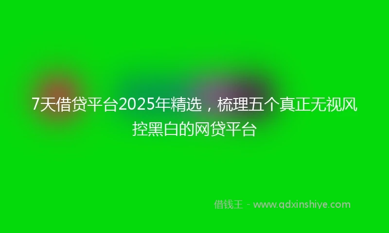 7天借贷平台2025年精选，梳理五个真正无视风控黑白的网贷平台