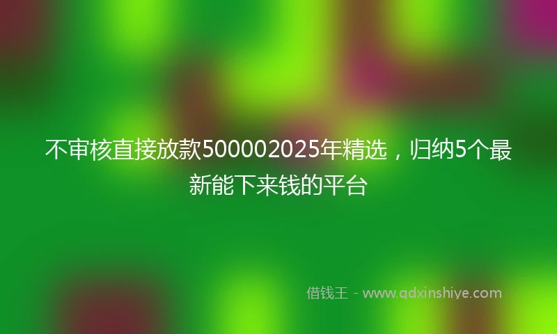 不审核直接放款500002025年精选，归纳5个最新能下来钱的平台