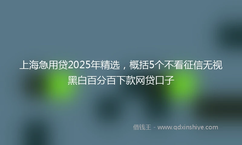 上海急用贷2025年精选，概括5个不看征信无视黑白百分百下款网贷口子