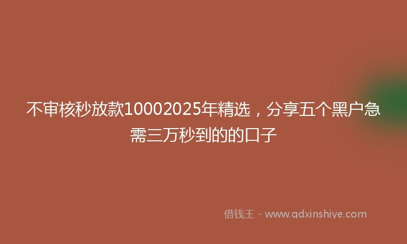 不审核秒放款10002025年精选，分享五个黑户急需三万秒到的的口子