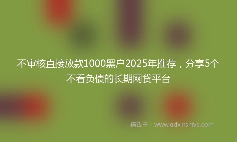 不审核直接放款1000黑户2025年推荐，分享5个不看负债的长期网贷平台